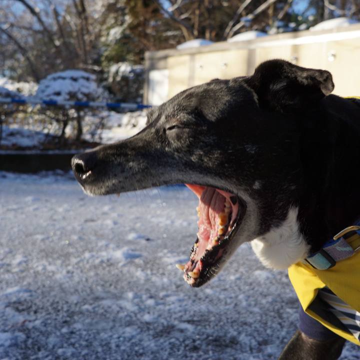 2db56cc3 32a1 4801 ae9b 9513a580d935 1770596845450