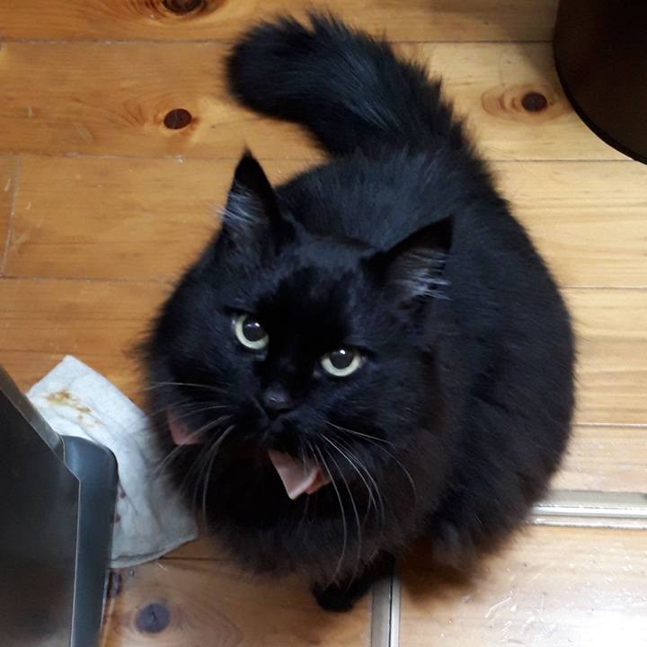 2db574f1 1c1d 46af b274 146c66cd236e 1520107632466