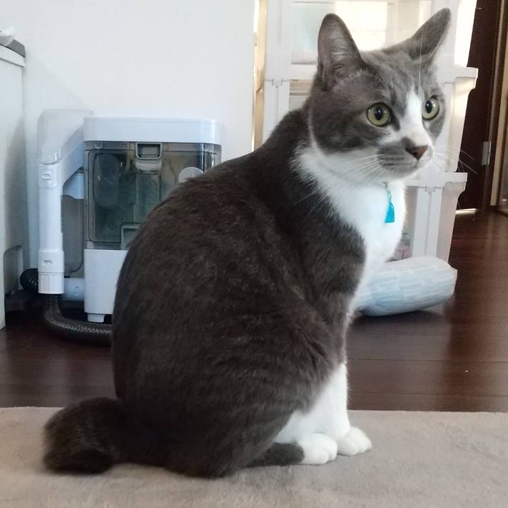 2db586b3 7ce5 44cd 866a fa27b7142aea 1616709094287