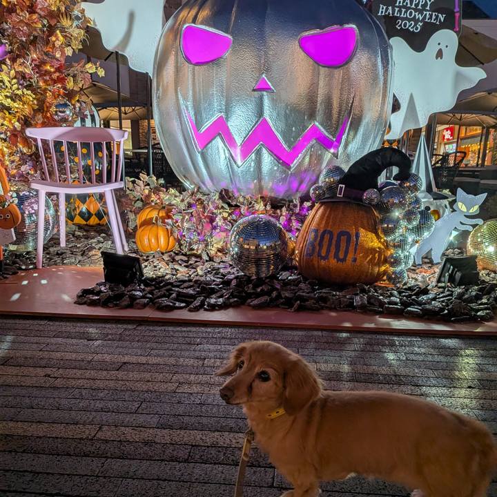 2db588be d43c 4baf 8532 e658c48a4938 1761911909811