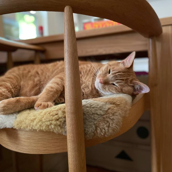 2db598b2 5163 429a b192 5d15a2601f26 1722416499362