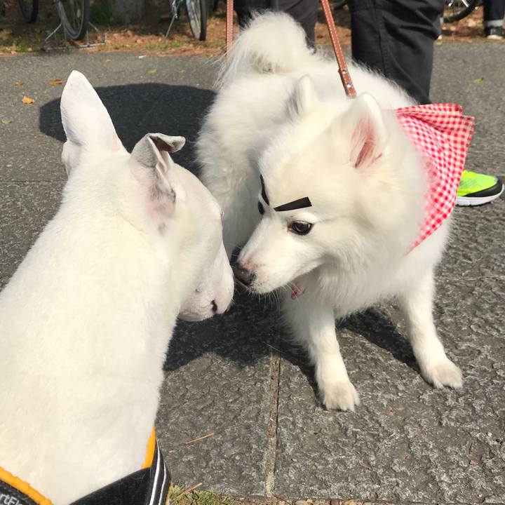 2db5b375 cfa2 43ac b149 98eecc5a61be 1521966542776