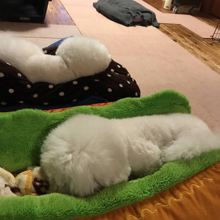 2db636dd 9851 434e 8c33 f1520418e789 1545222858823