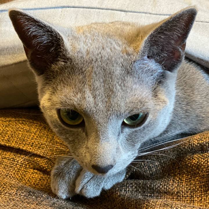 2db65055 2290 4ec1 a48c 6a20c7c561e7 1617452394954