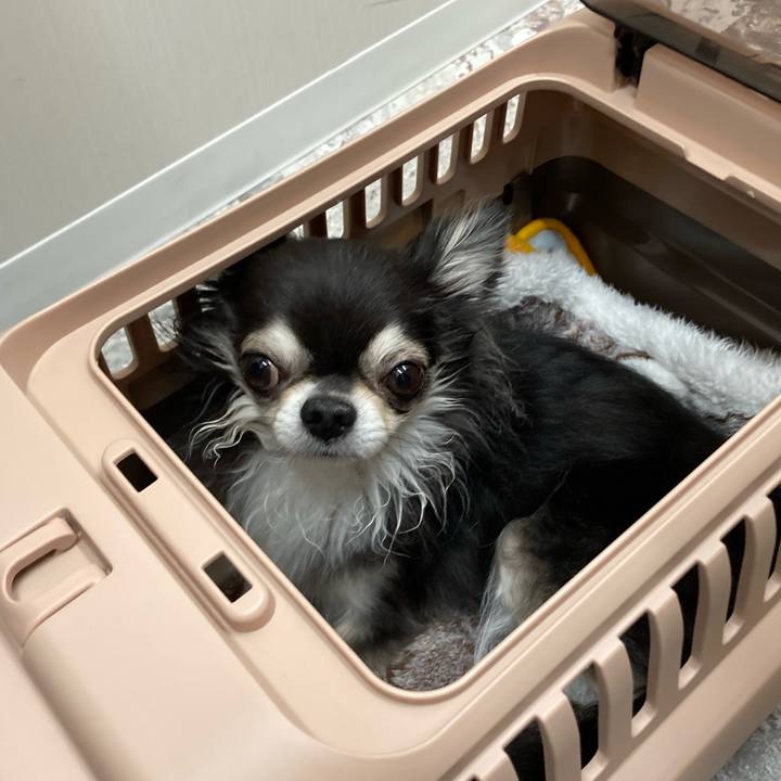 2db66957 af73 4804 a719 e1a2c53ba684 1709394998199