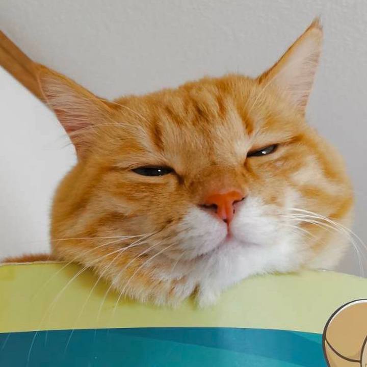 2db67bab f2a4 41e8 abb1 042b99954319 1610176990603