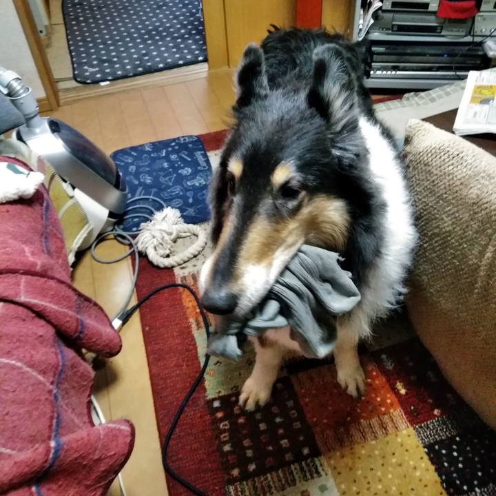 2db69eee 9de7 46e8 89b8 f42ae9fd6712 1546787381262