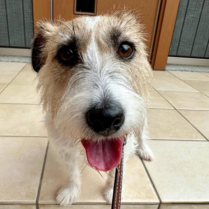 2db6c59c 4e9c 4bd6 87c6 ab656d34878b 1726823709534