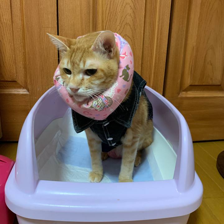 2db6c7cf 8d64 4913 bac1 53e0dfe5d232 1626207960154