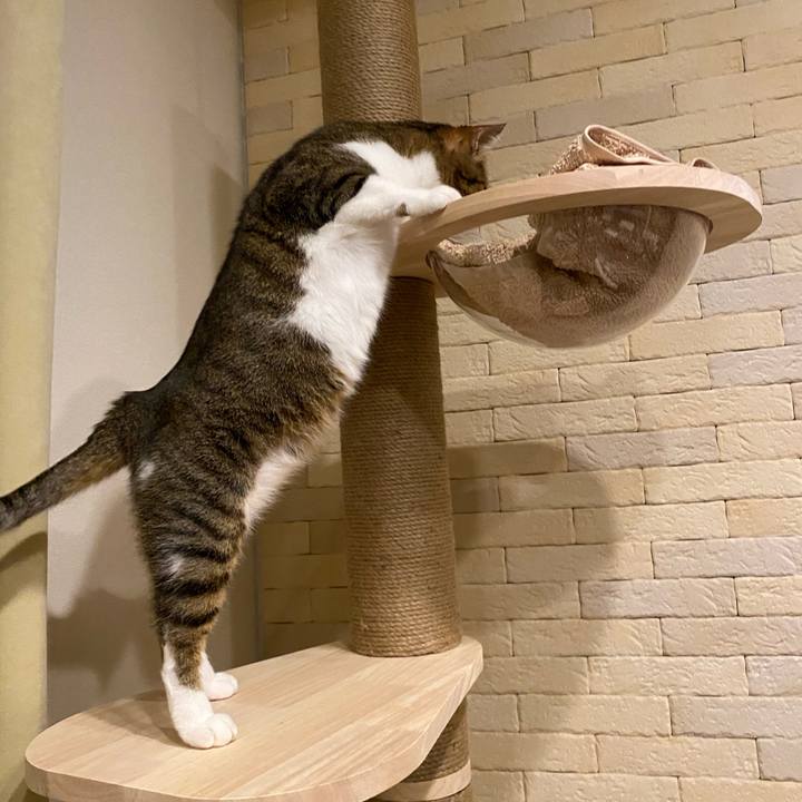 2db6f276 c62c 4c72 a610 fd4a214b015a 1632943705833