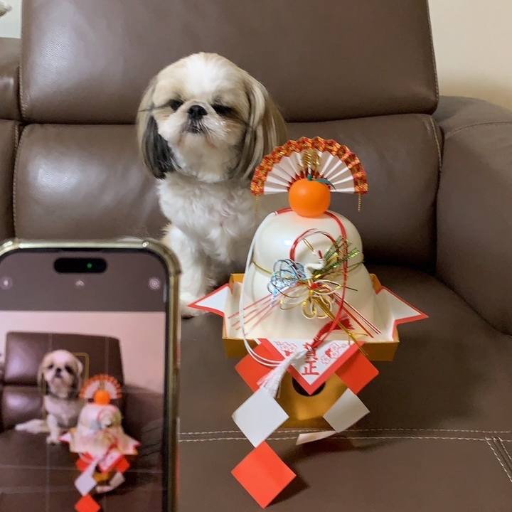 2db701d0 3e89 44e1 ac3d 7b2a77047bcc 1704367908334