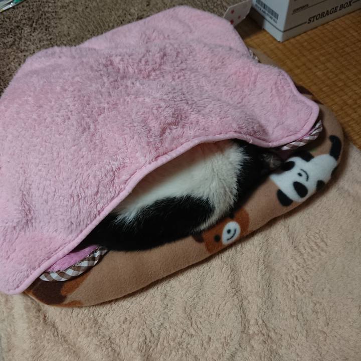 2db71be9 dfbd 483b 9949 68057ccce2d4 1571141906709