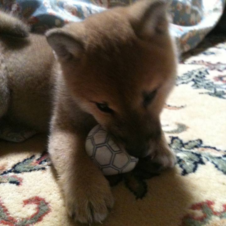 2db77eec b451 46b5 a98d 4396142b2927 1523704266753