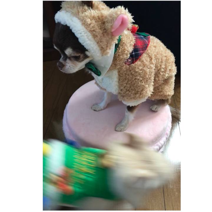 2db7a4c4 d0b9 4f93 bb85 01de33b9caec 1513984638060