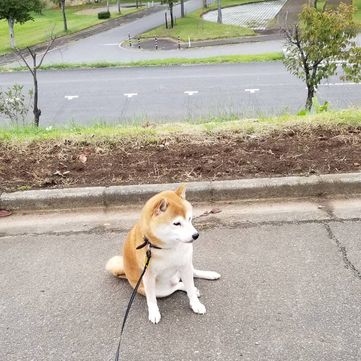 2db7b52c b62a 4c7d aad2 0aeb2b281419 1602222061374