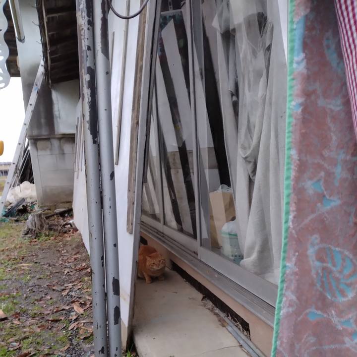 2db7bd4a 71f5 4e3c 8895 ae68e1c3dcfc 1670224512047