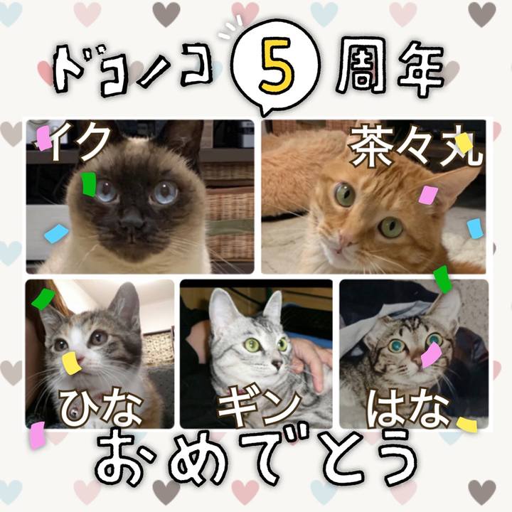 2db807e1 22c3 46f9 8abb 8c8b18497365 1622889771315