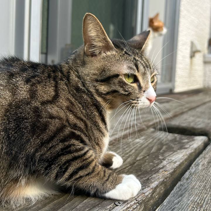 2db81221 23a8 468d b0bd 4e312c1a5da0 1764389872631