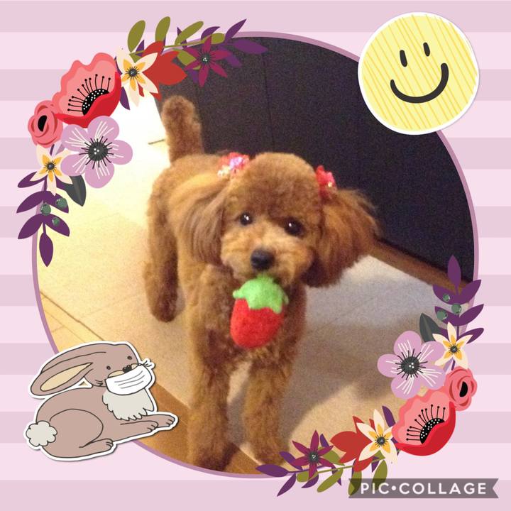 2db8145d e0ec 4140 82ce d7df8509e0e1 1591452894626