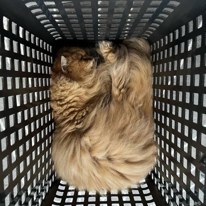 2db8423c 66b7 4f80 9da3 2f6c874659b8 1721562807134