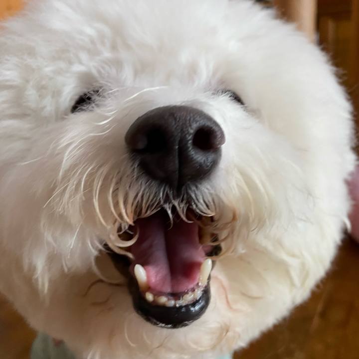 2db848cc 11c7 4df2 9b08 2ab2b8b313ef 1623290746213