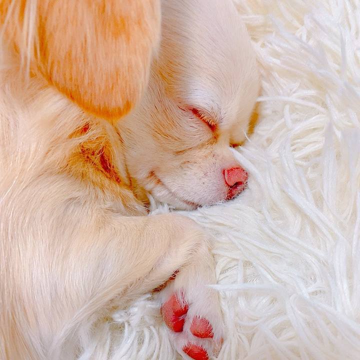 2db86030 2fbd 4184 a6b2 7bda13d1e240 1634876474508