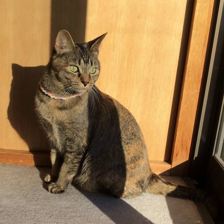 2db874a8 7d3f 4618 8342 260413901b31 1612859233603