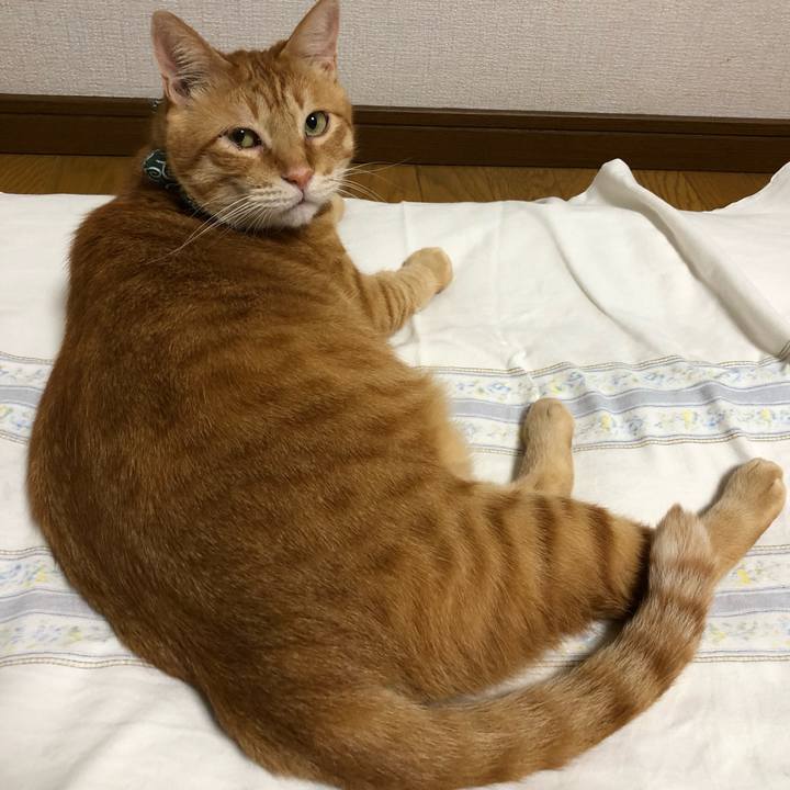 2db891b0 f063 49a4 a88c 7aa685acc8ca 1560252899799