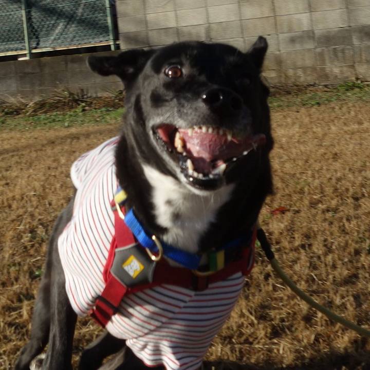 2db8b460 9e2a 4440 87d5 cedc9b0619ea 1670980511430