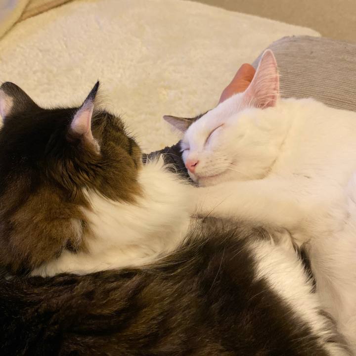 2db8f5c6 cc12 4ce1 85e8 59af99347b77 1575952891331