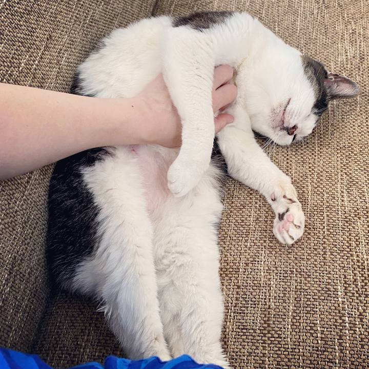 2db90963 0a7c 4221 8514 0676157f778b 1591519978361