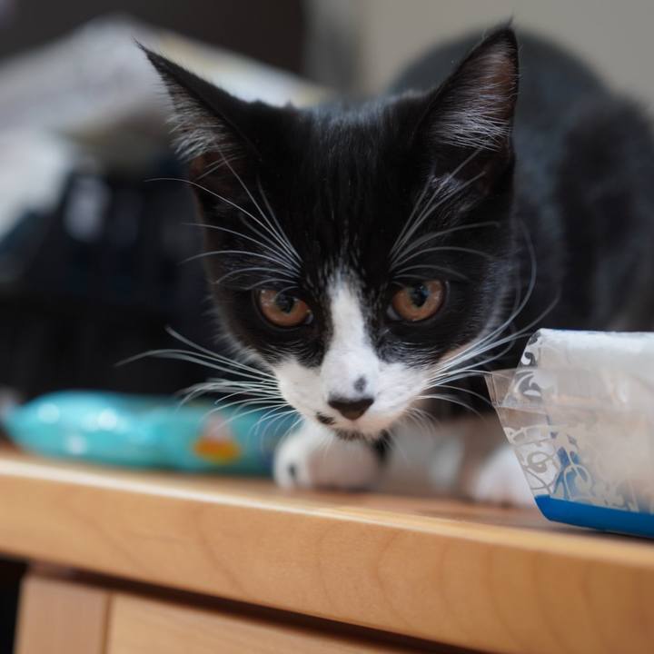 2db92b0e 8043 4925 b891 124fed6d8e60 1576107567192