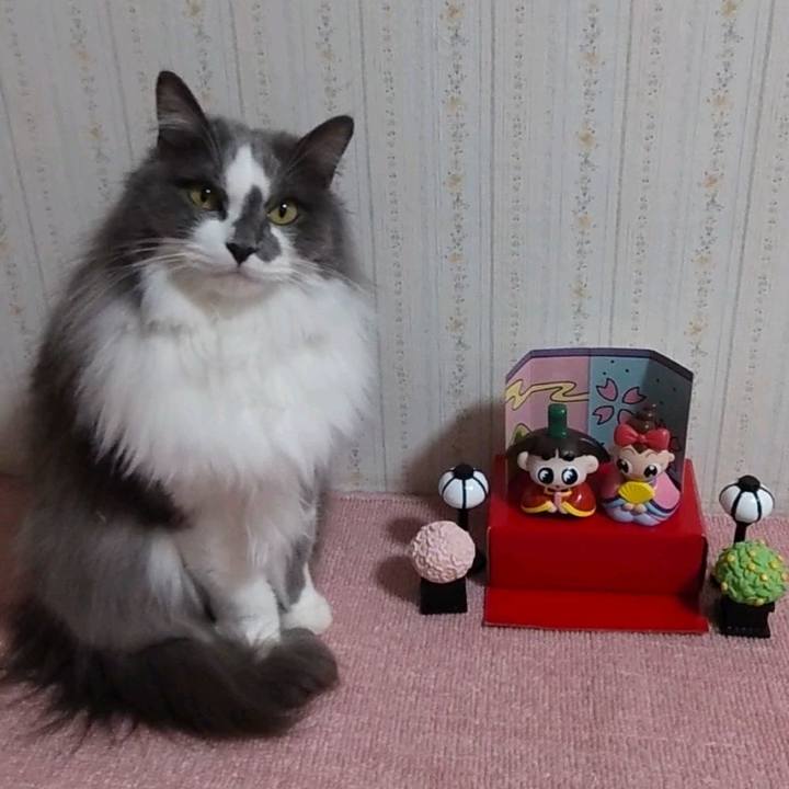 2db93929 7942 4309 b6ff 4f05c4976894 1646302709341