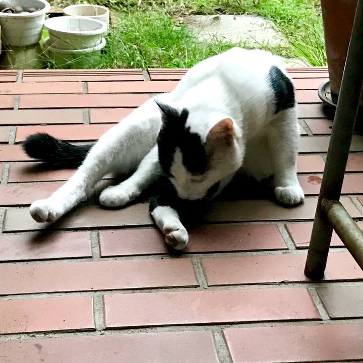 2db94dca 4e05 4887 b54f 7befb4a6c958 1533640604513