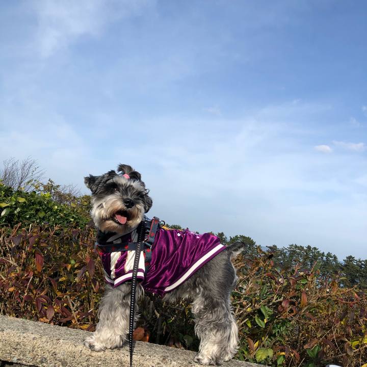 2db95b23 d1c5 49cc 8526 881779013f51 1637558422747