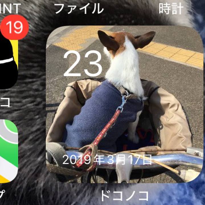 2db967a2 a5e1 4e0f a653 0863c9df919d 1742688282935