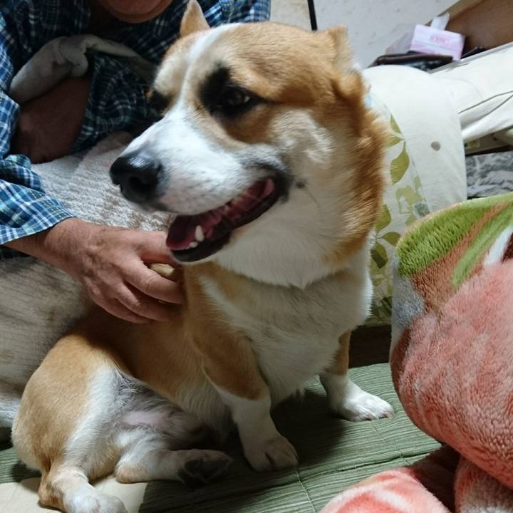 2db96c03 b022 46b0 950d eaffb2934992 1606574835919