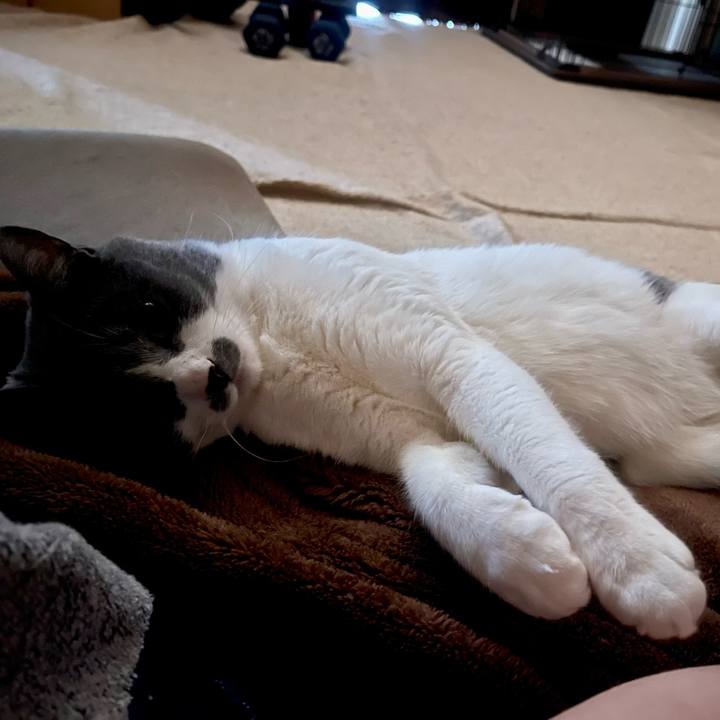 2db986f5 af13 4e36 9917 712840f819d8 1653294949300