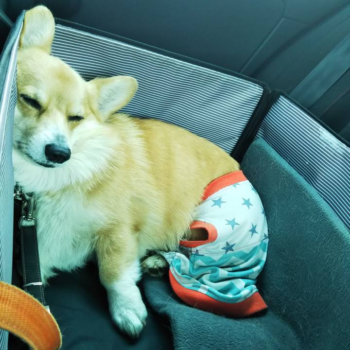 2db995aa b579 4fd6 9884 0bd3d78a0a85 1525091274106