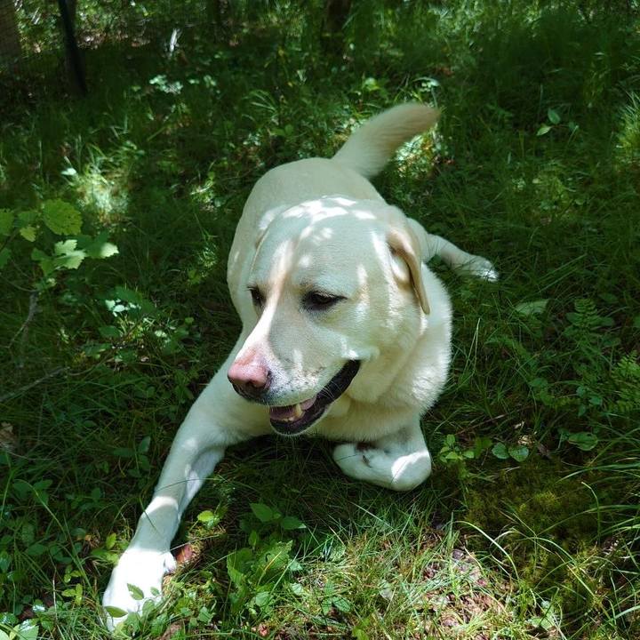 2db99da8 5477 4ba9 8bdb a0fdb39c144d 1625639428248