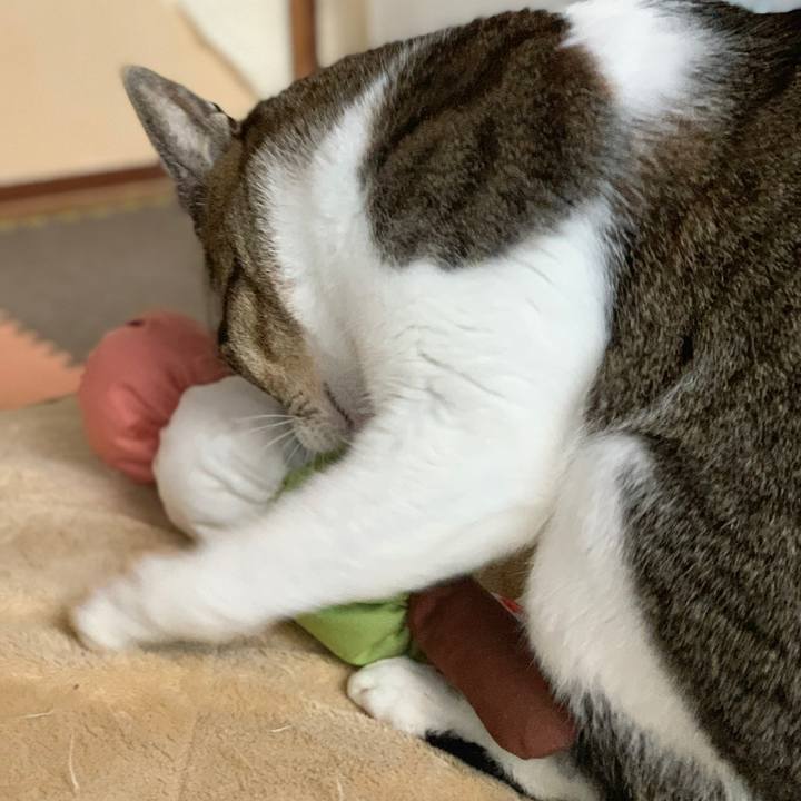 2db9aaa0 187c 4768 ac49 726e896d11f0 1582507759133