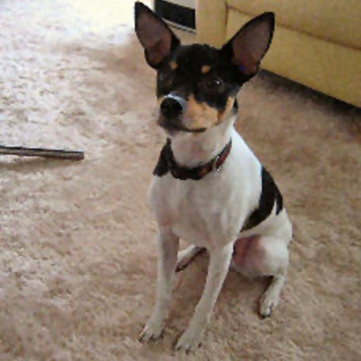 2db9bf56 be97 42f1 a3b9 7a993b38a8ab 1586654996194