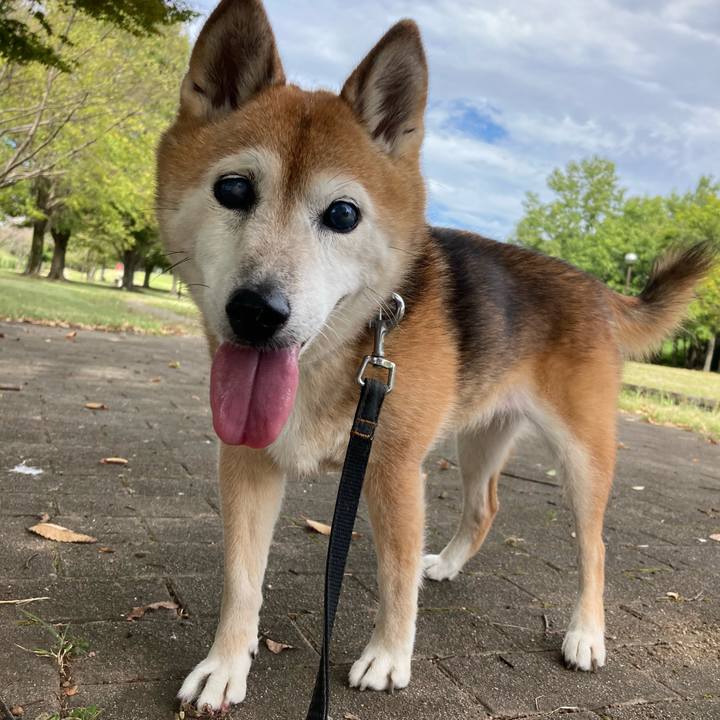 2db9f9c2 0b13 41d6 877c f0b49c4c352c 1759118664509