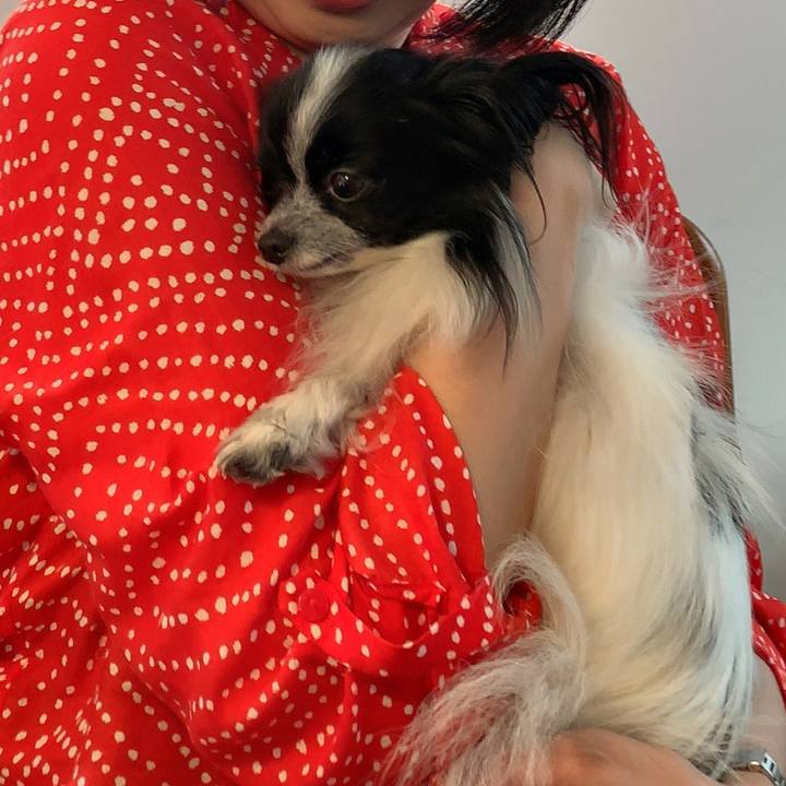 2dba1535 e79f 49d6 9eb5 b189fbcf70bb 1540630186455