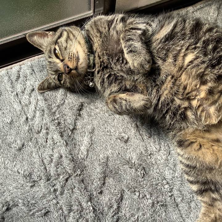 2dba5dd6 72bf 44e7 9ed1 a47f5ae65ccb 1773457015366