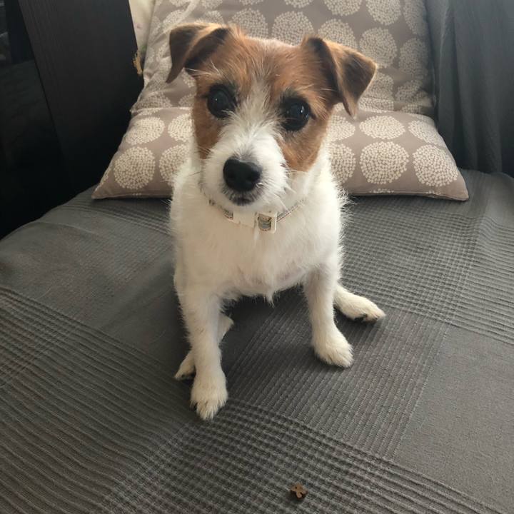 2dba84dd 2ce0 4189 9ba9 489251a0c528 1593033420414