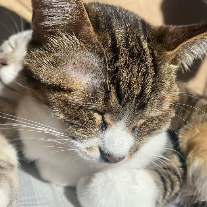 2dba9f32 4990 41f2 8d94 ebe8886e8332 1642732641785