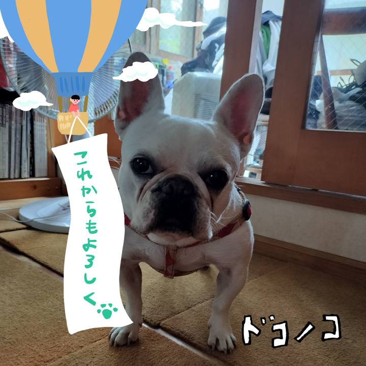 2dbaa032 be59 487f 93f8 caa131983bac 1685955090698