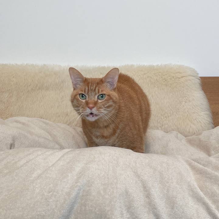 2dbab036 8ce1 40d2 ac2b dd9380bcf65c 1737470664799