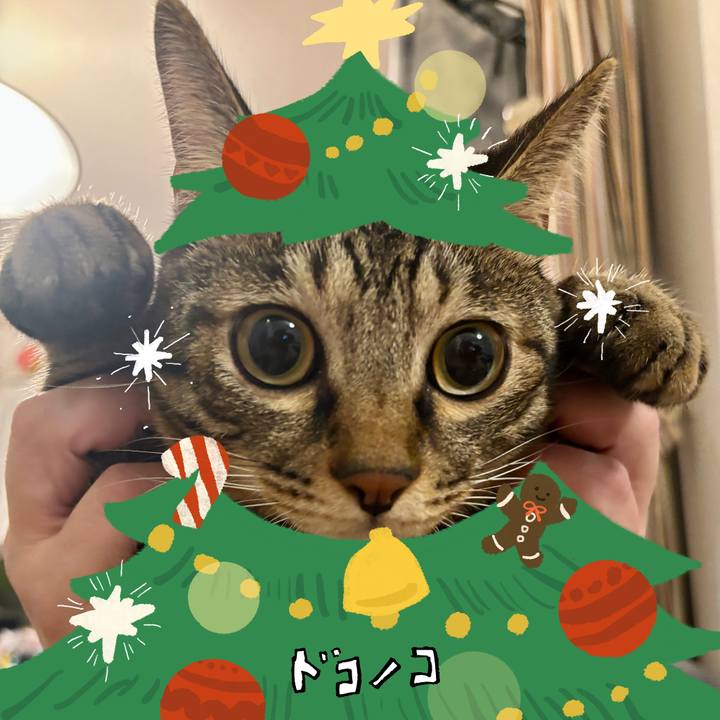 2dbab526 b80c 4aaf 9f06 7964f898de44 1761997681514